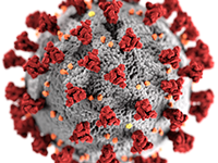 Imagen digital del coronavirus