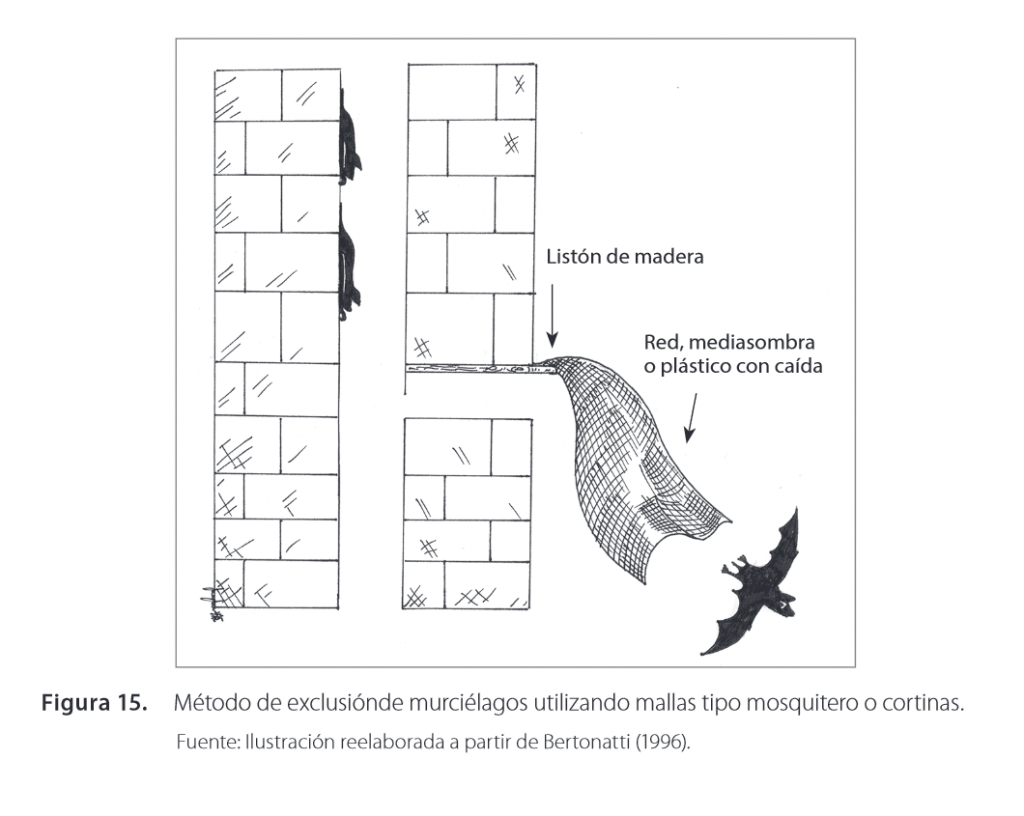 Dibujo que muestra un método de exclusión de murciélagos usando mallas tipo mosquitero.
