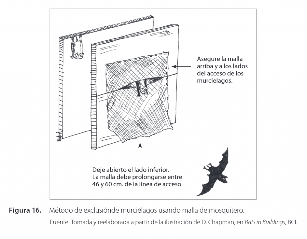 Dibujo que muestra un método de exclusión de murciélagos usando malla mosquitero.