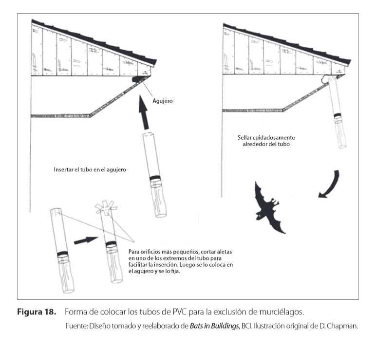 Dibujo que muestra un método de exclusión de murciélagos usando tubos de PVC